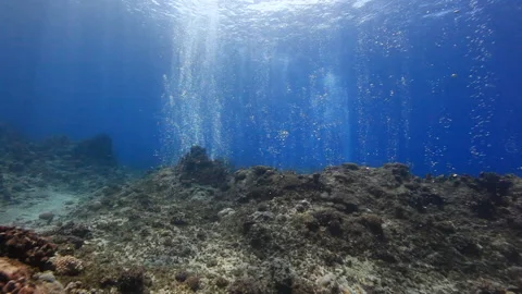 Bubbles rising from coral reef Stockbeeldmateriaal 160085543