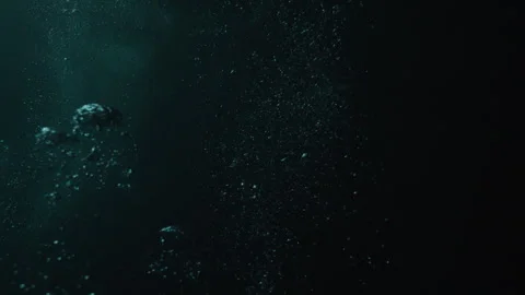 Bubbles Rising in the Dark Waters of Belize at Night Stock Footage 306501492