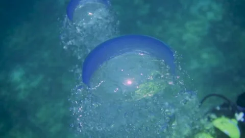 Bubbles rising over two scuba divers Stock Footage 241086757