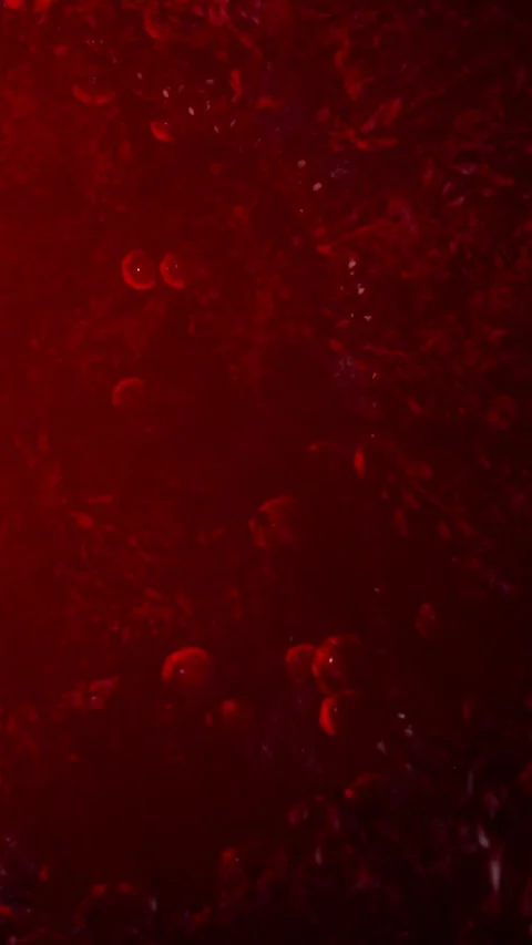 Bubbles rising in a red liquid creating patterns at a close distance Stock Footage 337998081