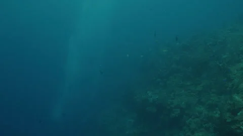 Bubbles Rising from Scuba Divers in Belizean Waters Stock Footage 306488788