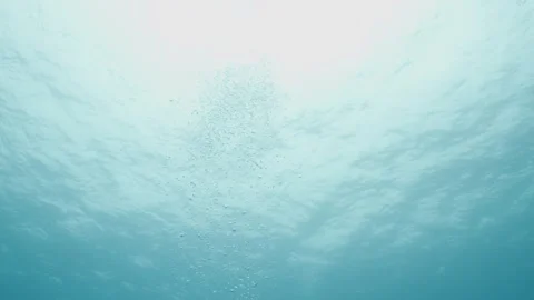 Bubbles Rising from Scuba Divers in Belizean Waters Video stock 306492125