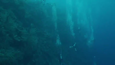 Bubbles Rising from Scuba Divers in Belizean Waters Video stock 306497676