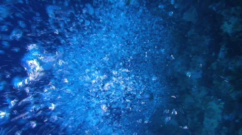 Bubbles rising, slow motion 動画素材 352311