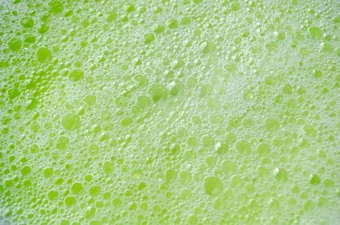 Bubbles rising slowly through a thick, green colored liquid Stock Photos