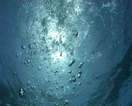 Bubbles rising to the surface 090313 Stock Footage 457963