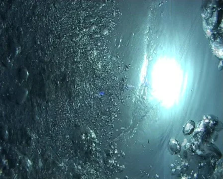 Bubbles rising to the surface. Vidéo 579919