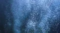 Bubbles rising to the surface. HD Footage