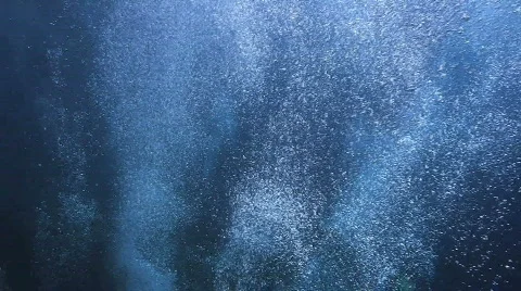 Bubbles rising to the surface. Stock Footage 665061