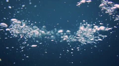 Bubbles rising to the surface of the ocean Stock Footage 241086707
