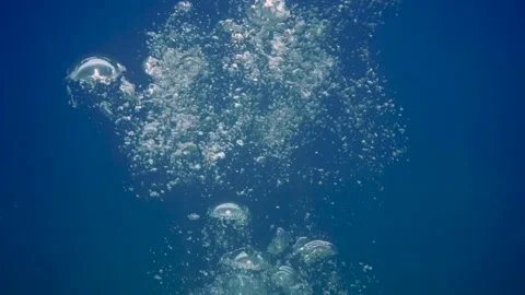Bubbles rising to the surface over scuba divers Video stock 241086706