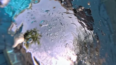 Bubbles rising to surface in swimming pool on sunny day Stock Footage 301363677