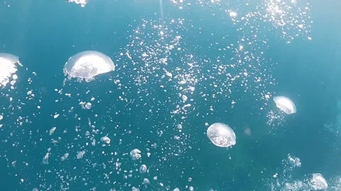 Bubbles rising to the surface in water. Rush of air bubbles surfacing in sea-Dan Stock Footage 134280568
