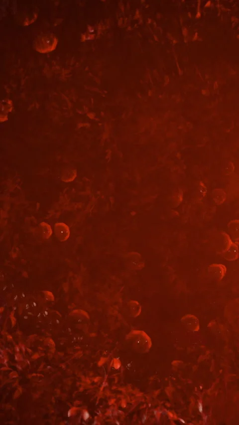 Bubbles rising in a thick red liquid during a cooking experiment Stock Footage 330342117