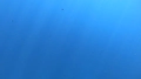 BUBBLES RISING THROUGH BLUE WATER Stock Footage 153944449