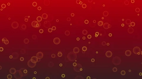 Bubbles rising through deep red and dark gradient liquid motion background Stock Footage 334829751
