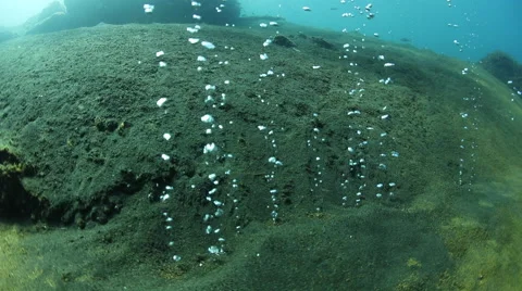 Bubbles Rising from Volcanic Island Stock Footage 55557872