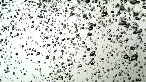 Bubbles rising up in water in slow motion 스톡 동영상 81230341