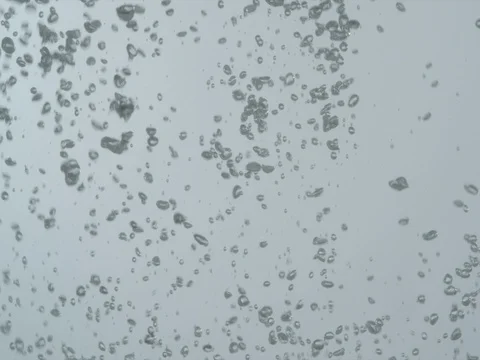 Bubbles rising in water on white background Video stock 80603241