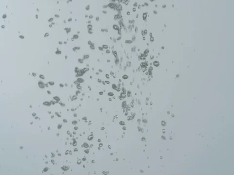 Bubbles rising in water on white background Video stock 80603298