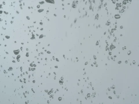 Bubbles rising in water on white background Video stock 80603550