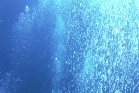 Bubbles SD NTSC Stock Footage 387911