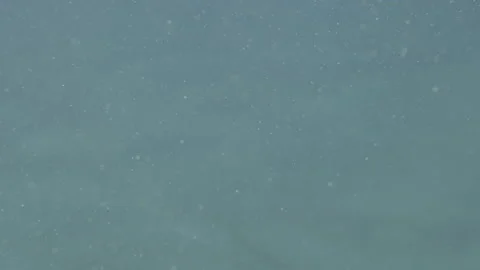 Bubbles in the sea Stock Footage 231411093