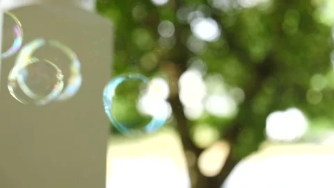 Bubbles in slow motion rising with green tree in the background lots of bubbles Stock Footage 207337867