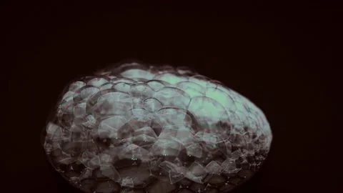 Bubbles of soap foam1 Stock Footage 149241493