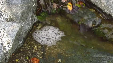 Bubbles Spinning and Rotating in a Stream Video stock 253353934