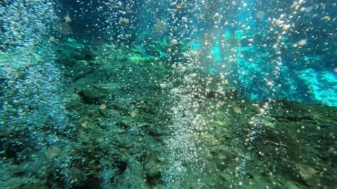 Bubbles from the spring Stock Footage 318178568