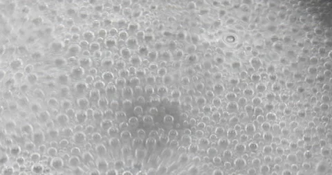 Bubbles of steam inside boiling water Stock Footage 140688754