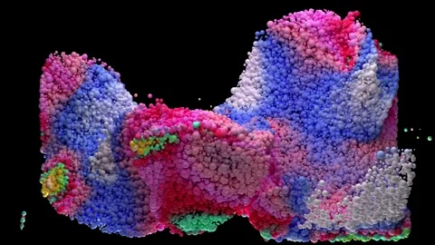 Bubbles substance dec 22 14 스톡 동영상 257802093