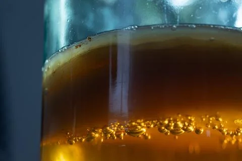 Bubbles on the surface of a tea mushroom in close-up Stock Photos