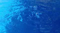 Bubbles on swimming pool surface - background HD Footage