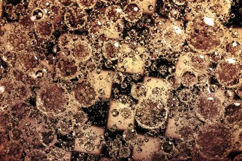 Bubbles texture Stock Photos