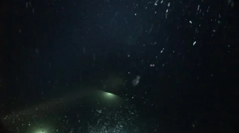 Bubbles under the sea, at night Stock Footage 5248353