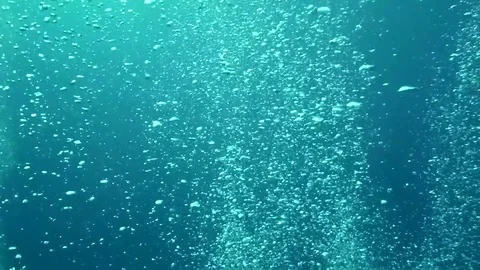 Bubbles underwater from divers Stock Footage 80830631