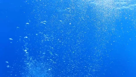 Bubbles underwater Video stock 70235710