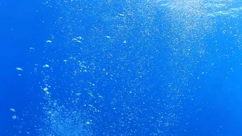Bubbles underwater 스톡 동영상 70237357