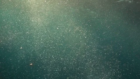 Bubbles underwater Video stock 70705164