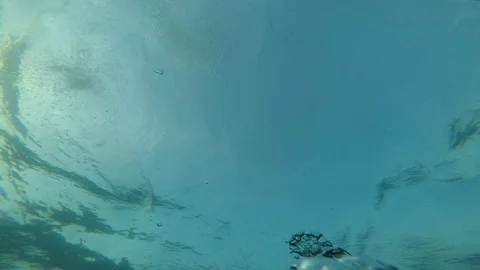 Bubbles underwater in slow motion Stock Footage 124901265
