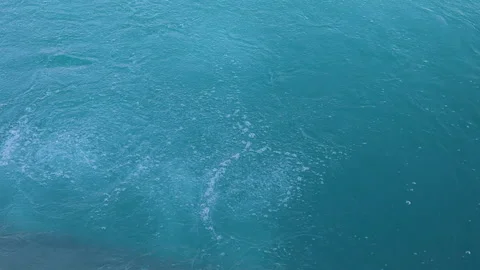 Bubbles from an underwater source rise to the blue surface of the lake Stock Footage 311931636