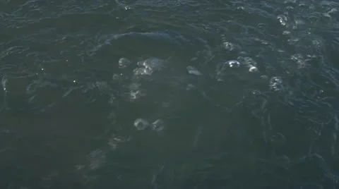 Bubbles from Unseen Leviathan Ascending from The Deep Stock Footage 12295349