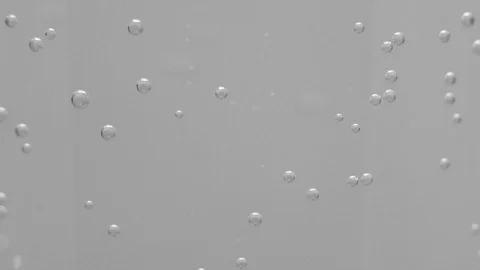 Bubbles on the wall of the glass Stock Footage 102112039