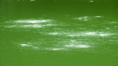 Bubbles of water appear on the surface of the lake Stock Footage 319921996