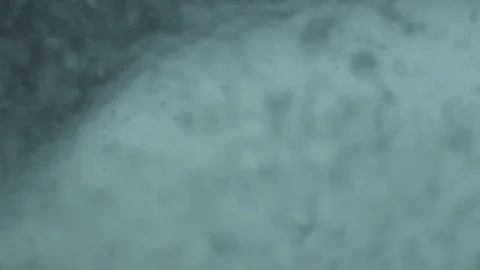 Bubbles in the water Vidéo 112127441