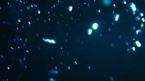 Bubbles  in the water Stock Footage 241558140