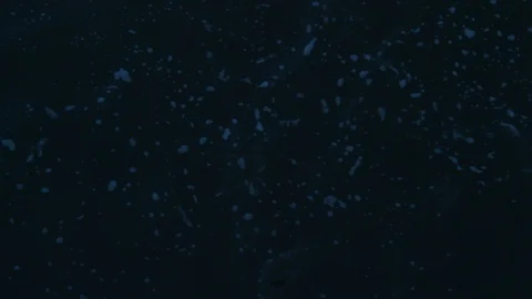 Bubbles On Water Move Around Because Of Currents Top Down View Stock Footage 106674993