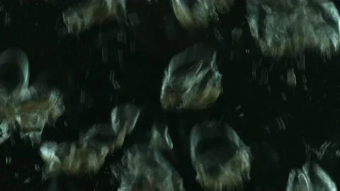 Bubbles in the water. Oxygen in the water bubble. Water background texture H20. Stock Footage 204893688